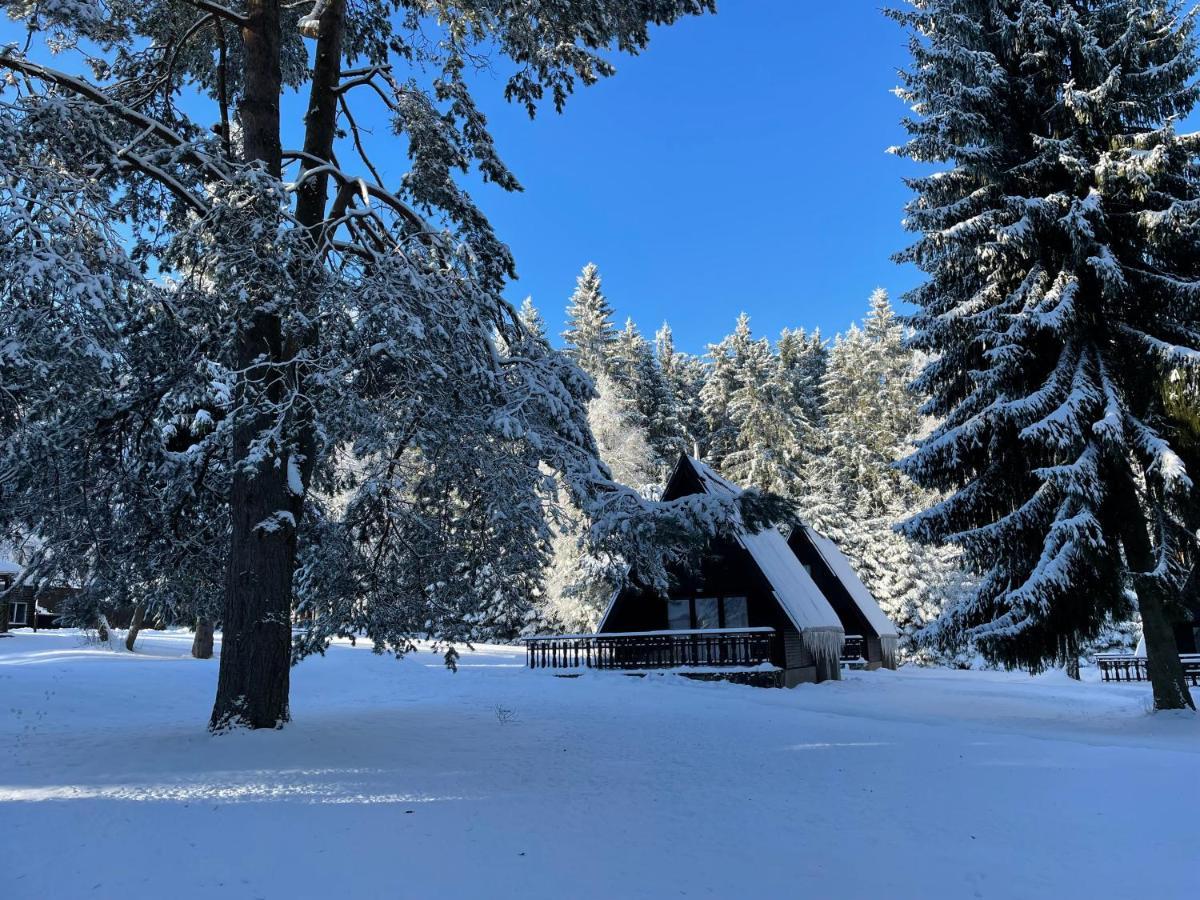 Hotel A Penzion Pegas Vlachovice エクステリア 写真