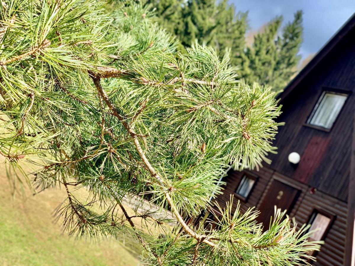 Hotel A Penzion Pegas Vlachovice エクステリア 写真